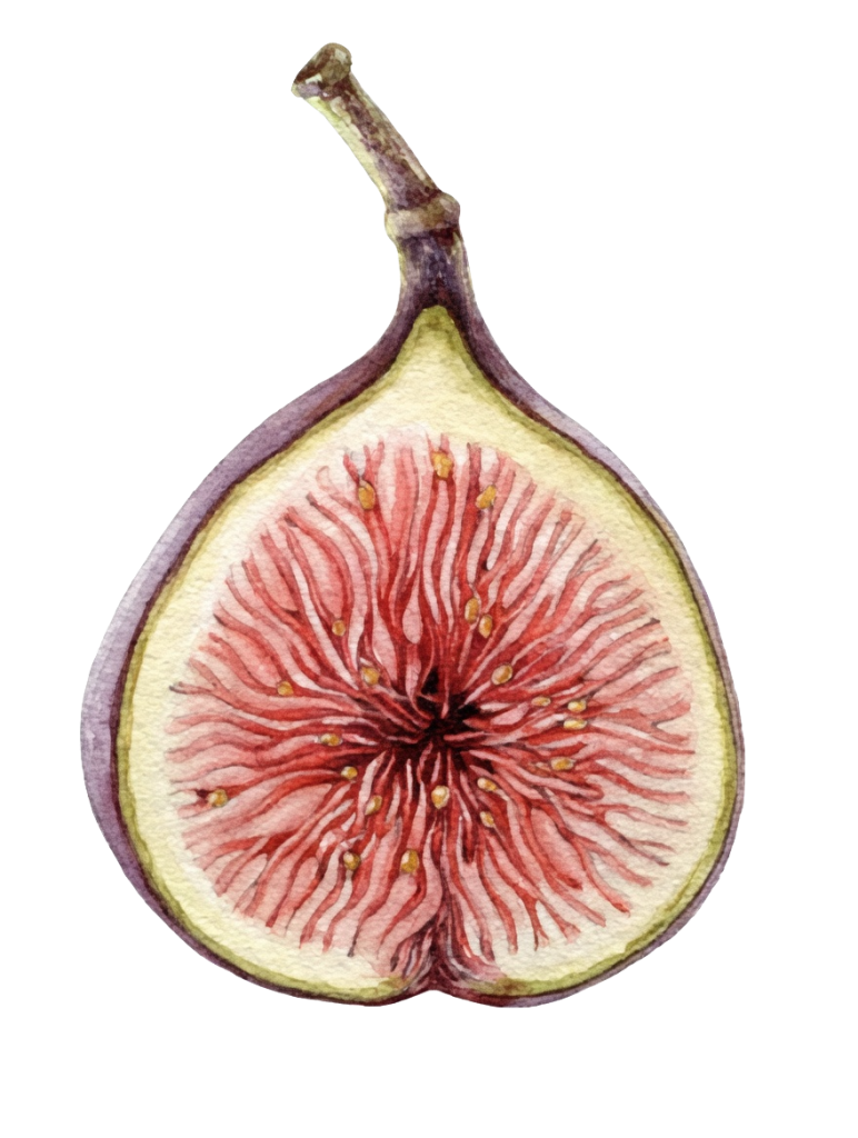 Girlhood Is Bigger Than The Bell&nbsp;Jar